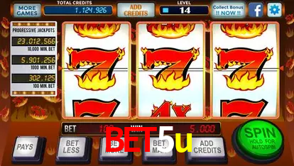 A Experiência Imersiva dos Cassinos Ao Vivo no bet5u